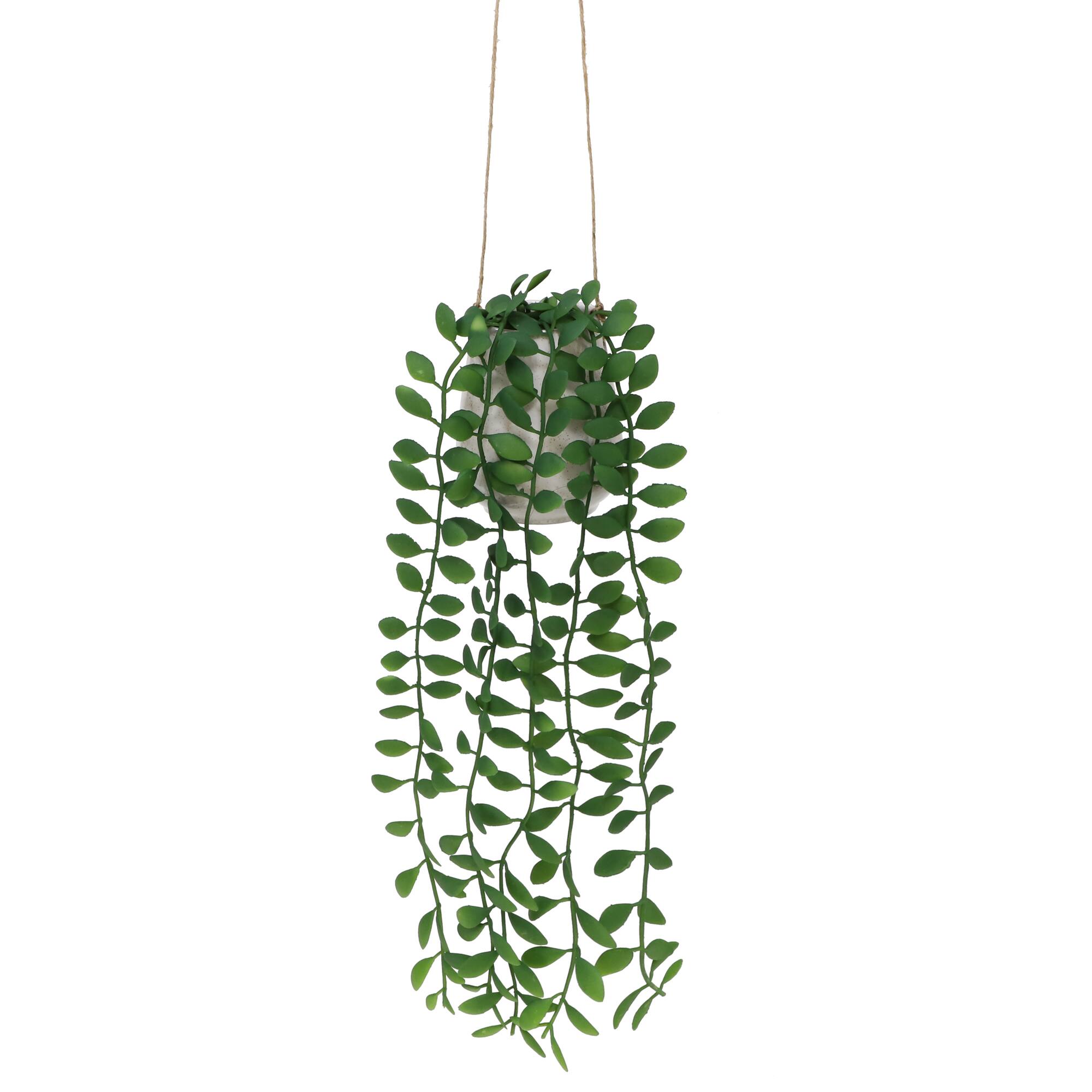 27" Hanging String of Nickels in White Ceramic Pot by Ashland®